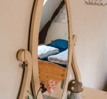 Bakkums Hoeve spiegel