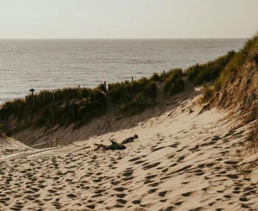 Duinen strand rollen spelen
