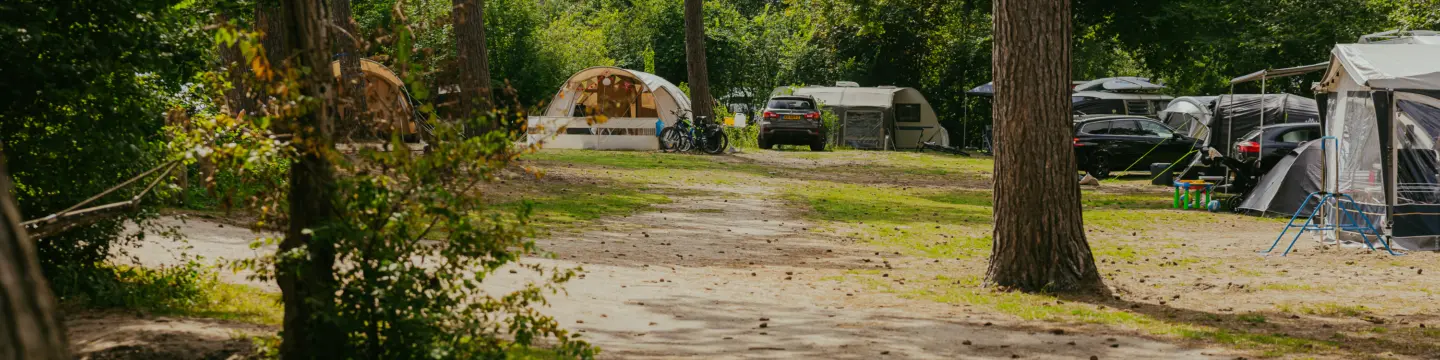 Bosplaatsen kamperen camping bakkum in het voorjaar is het hier zo fijn