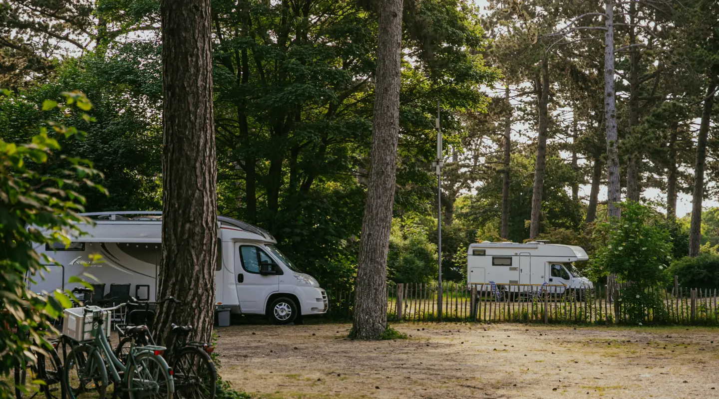 Bosplaatsen campers